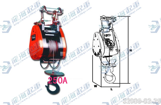 250kg小金刚提升机