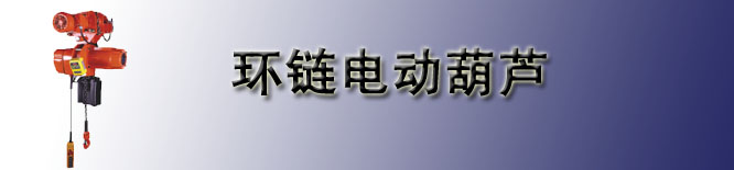 韩国GEN环链电动葫芦