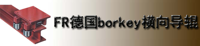 FR德国borkey横向导辊