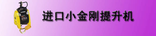 进口小金刚提升机
